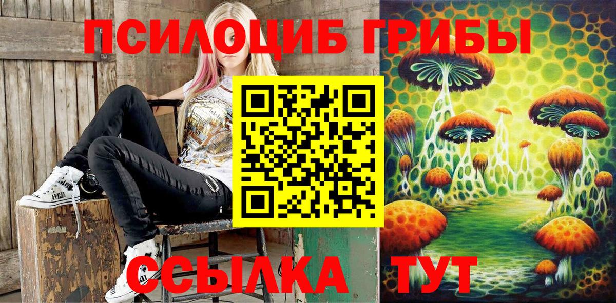 Галлюциногенные грибы MAGIC MUSHROOMS Ртищево