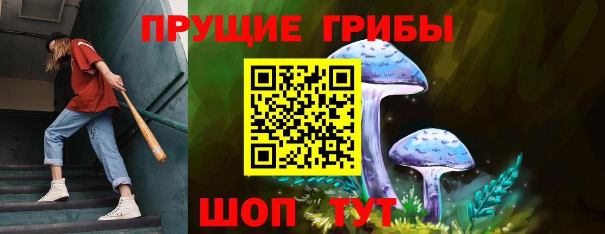 Ртищево  Галлюциногенные грибы Psilocybine cubensis  Псилоцибиновые грибы прущие грибы  Вход с VPN 